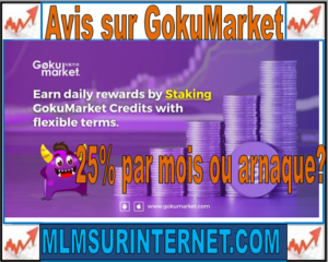 gokumarket avis