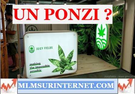 juicy fields ponzi