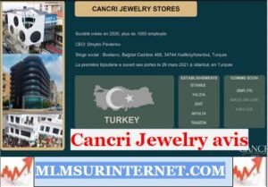 cancri jewelry avis